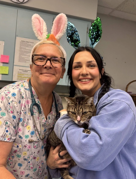 Cta Image Cat Specific
