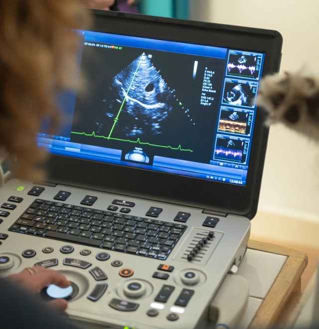 A Personalized Approach to Every Patient