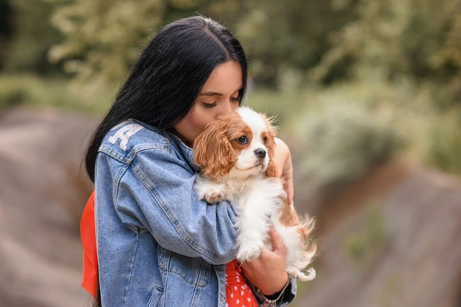 new puppy first vet visit checklist